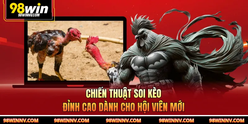 Chiến thuật soi kèo đỉnh cao dành cho hội viên mới