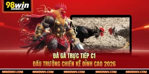 Đá Gà Trực Tiếp C1