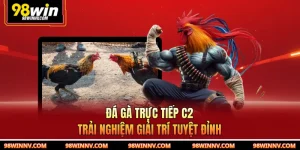 Đá Gà Trực Tiếp C2