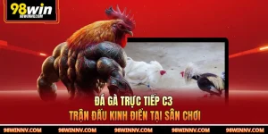 Đá Gà Trực Tiếp C3