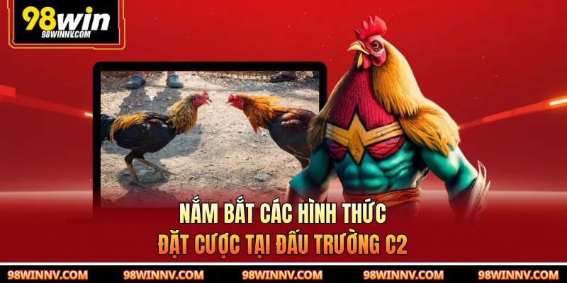 Nắm bắt các hình thức đặt cược tại đấu trường C2