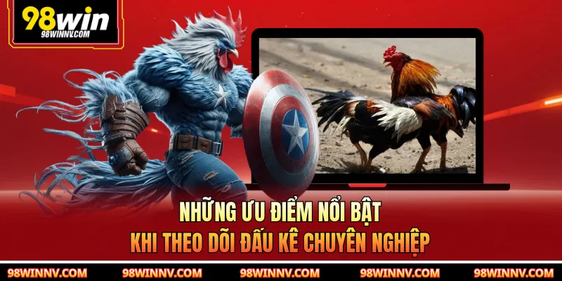 Những ưu điểm nổi bật khi theo dõi đấu kê chuyên nghiệp