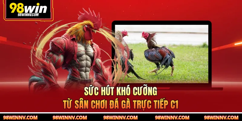 Sức hút khó cưỡng từ sân chơi đá gà trực tiếp C1