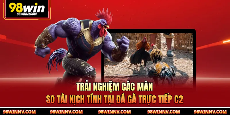 Trải nghiệm các màn so tài kịch tính tại đá gà trực tiếp C2